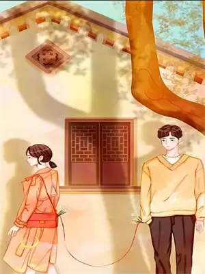 喂海鸥的地方
