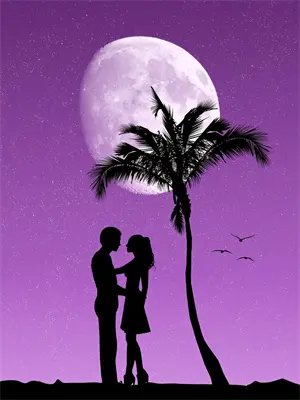 首辅夜夜低哄：恶女她以下犯上(萧沉砚沈清梧)最新热门小说_完结小说首辅夜夜低哄：恶女她以下犯上(萧沉砚沈清梧)